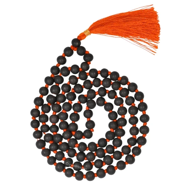 sollicitudin aliquam